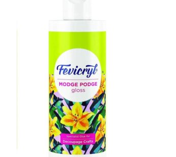 Fevicryl Modge Podge Gloss