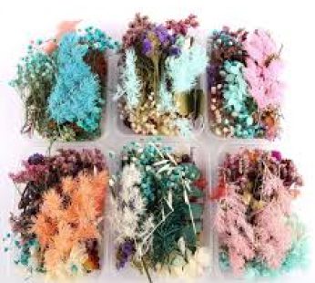 Dry Flower 1Box