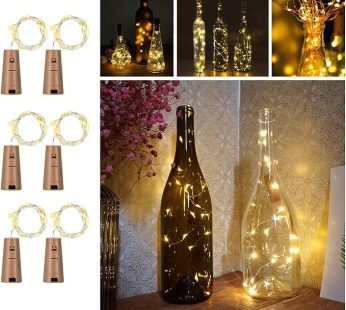 Bottle sparking light 10 pis 20 Led 2M
